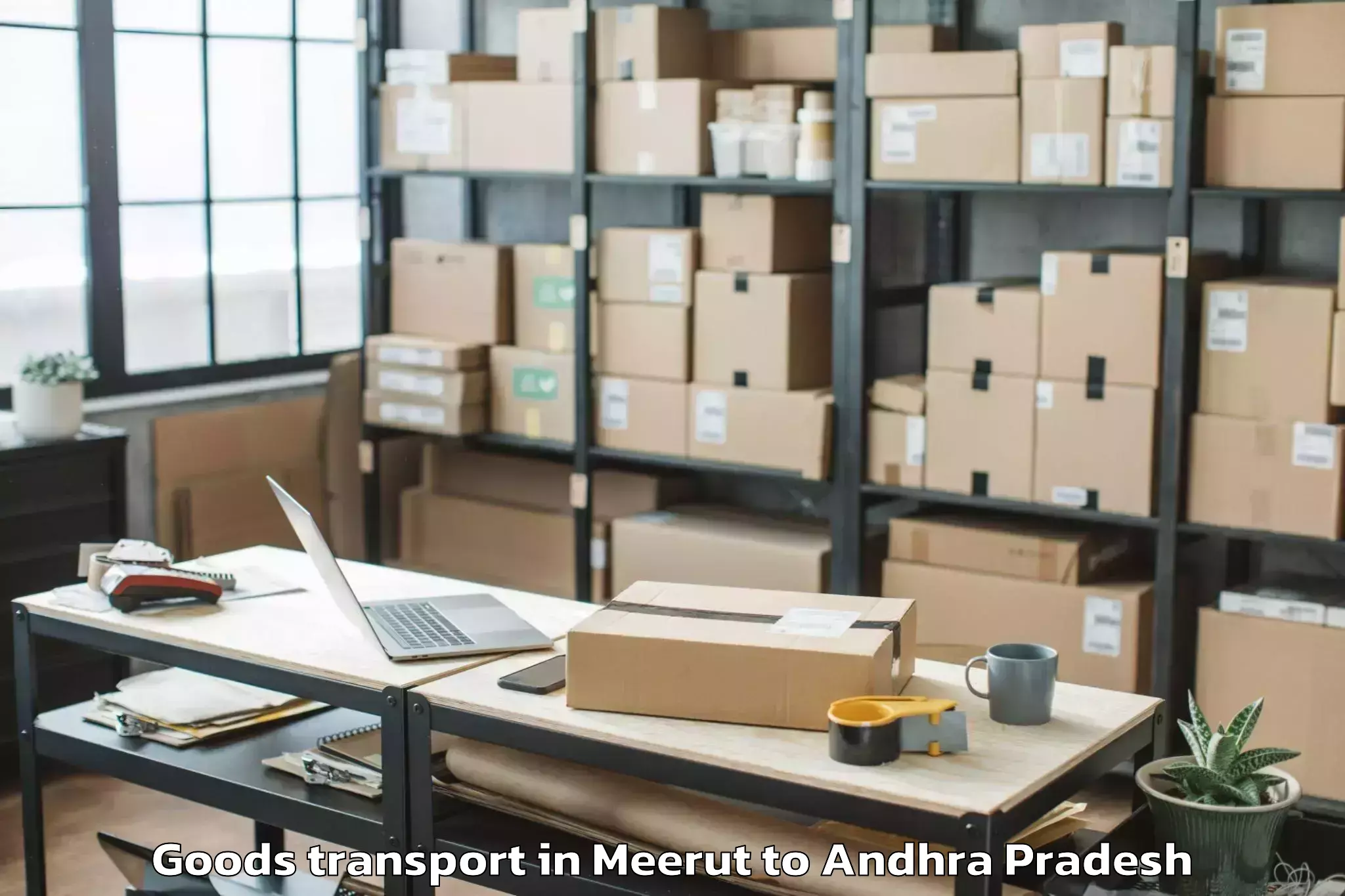 Professional Meerut to Ponnur Goods Transport